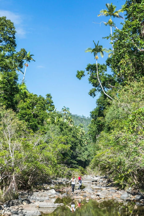 Segway Rainforest Discovery Tour - We Wander