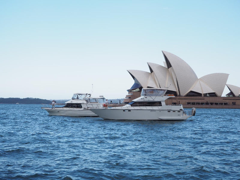 Sensational Sydney City: Sea & Land - We Wander