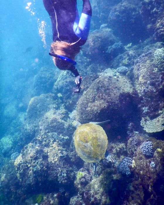 Snorkel With The Turtles In A Private Boat - We Wander