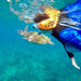 Snorkel With The Turtles In A Private Boat - We Wander