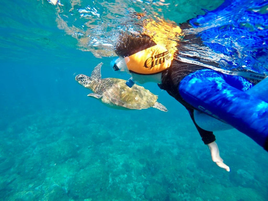 Snorkel With The Turtles In A Private Boat - We Wander