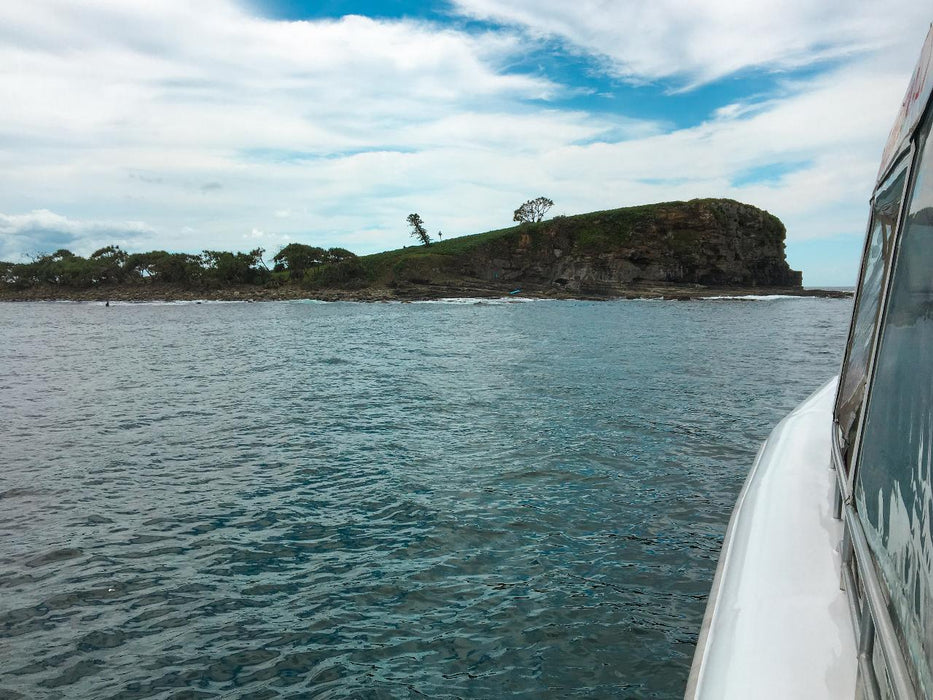 Snorkel With Turtles At Mudjimba Island - We Wander