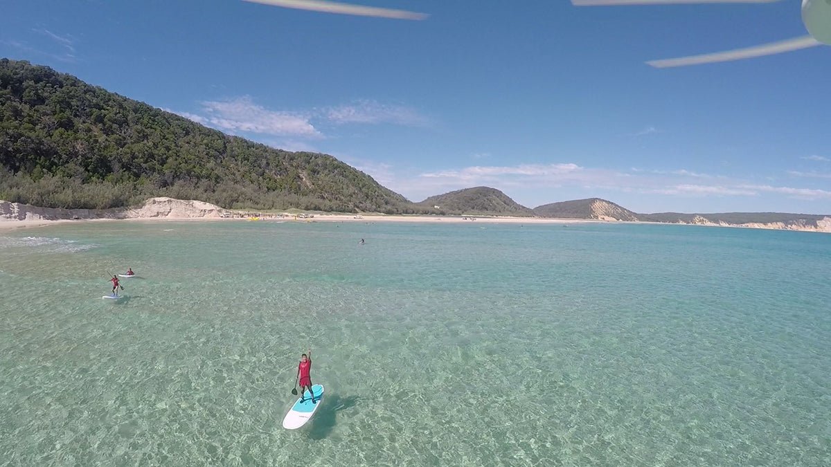 Stand Up Paddle Wildlife Tour & Beach 4X4 Day Trip - Noosa - We Wander