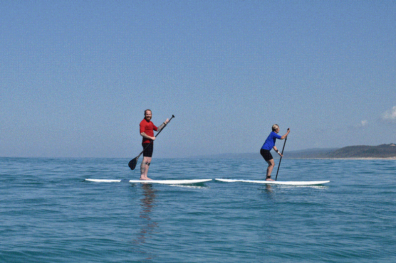 Stand Up Paddle Wildlife Tour & Beach 4X4 Day Trip - Noosa - We Wander