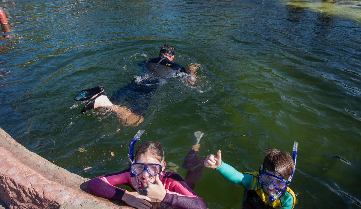 Stingray Snorkel With Entry Pass - We Wander