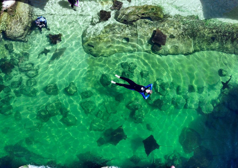 Stingray Snorkel With Entry Pass - We Wander