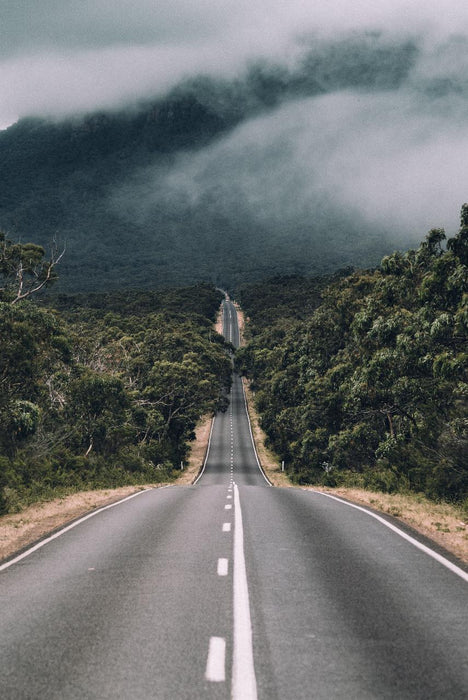 The Grampians Day Tour - We Wander