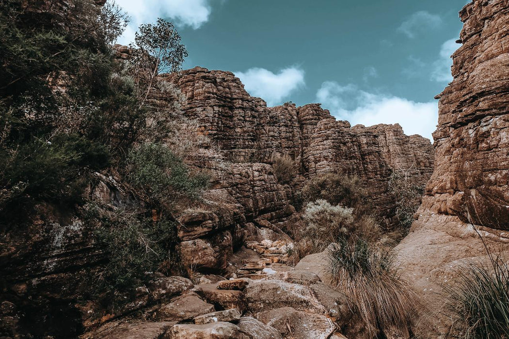 The Grampians Day Tour - We Wander