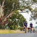 Tour De Mudgee Cellar Door - We Wander