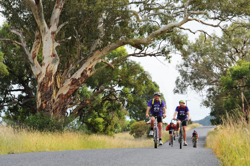 Tour De Mudgee Cellar Door - We Wander