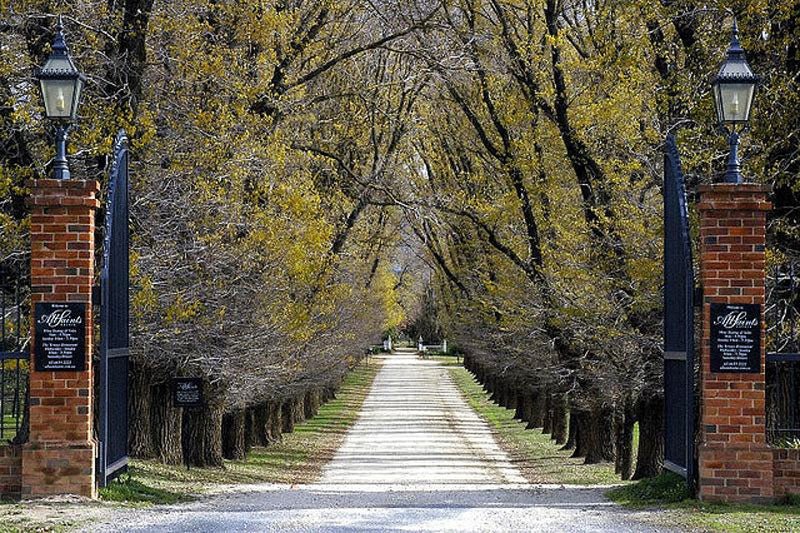 Tour De North East Victoria - Active (Guided) - We Wander