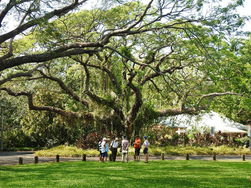 Walk The Botanic Gardens - We Wander