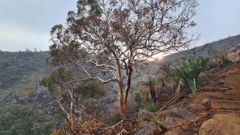 Waterfalls, Wildflowers & Wandoo Hiking Experience - We Wander