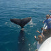 Whalesong Whale Watch Tour - We Wander