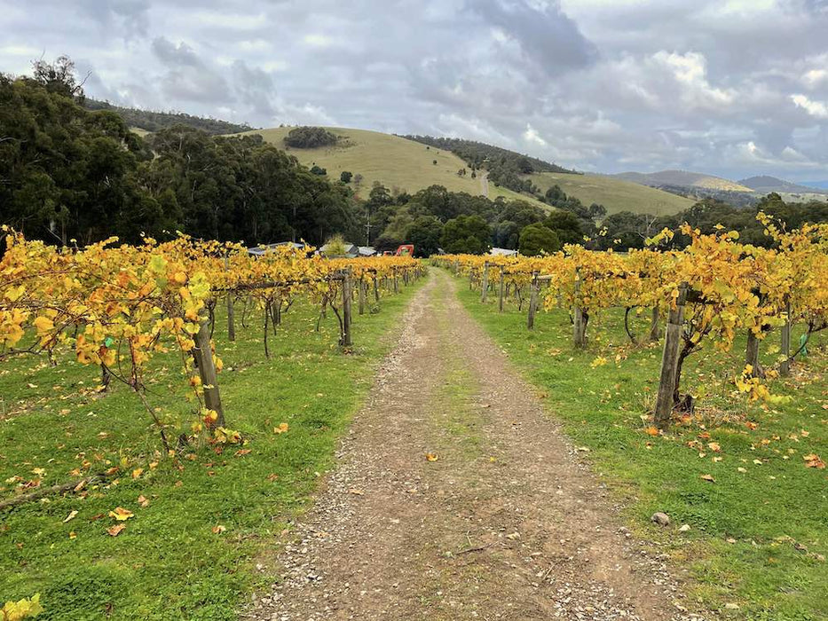 Yarra Valley Wine Tour - Full Day Public Tour - We Wander