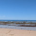 Yorke Peninsula Blue Swimmer Crab Catch N Dine - We Wander