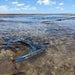 Yorke Peninsula Blue Swimmer Crab Catch N Dine - We Wander