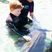 Zebra Shark Encounter With Entry Pass - We Wander